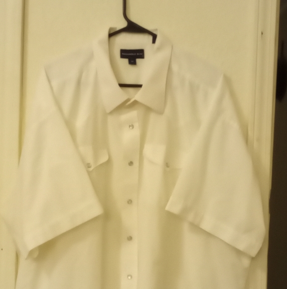 Western Pearl Snap Shirt - Picture 1 of 7